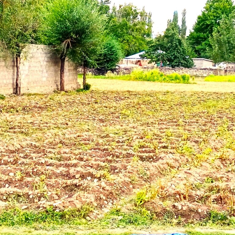 Land Purchase