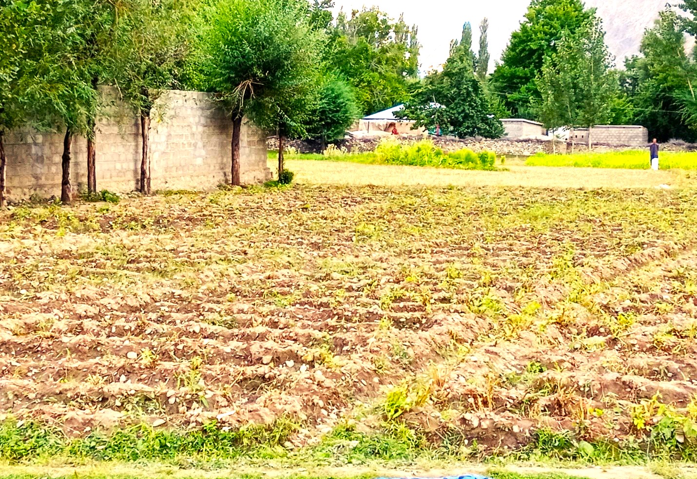 Land Purchase